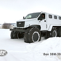 ЗВМ-39082 "Вея" (6x6) 